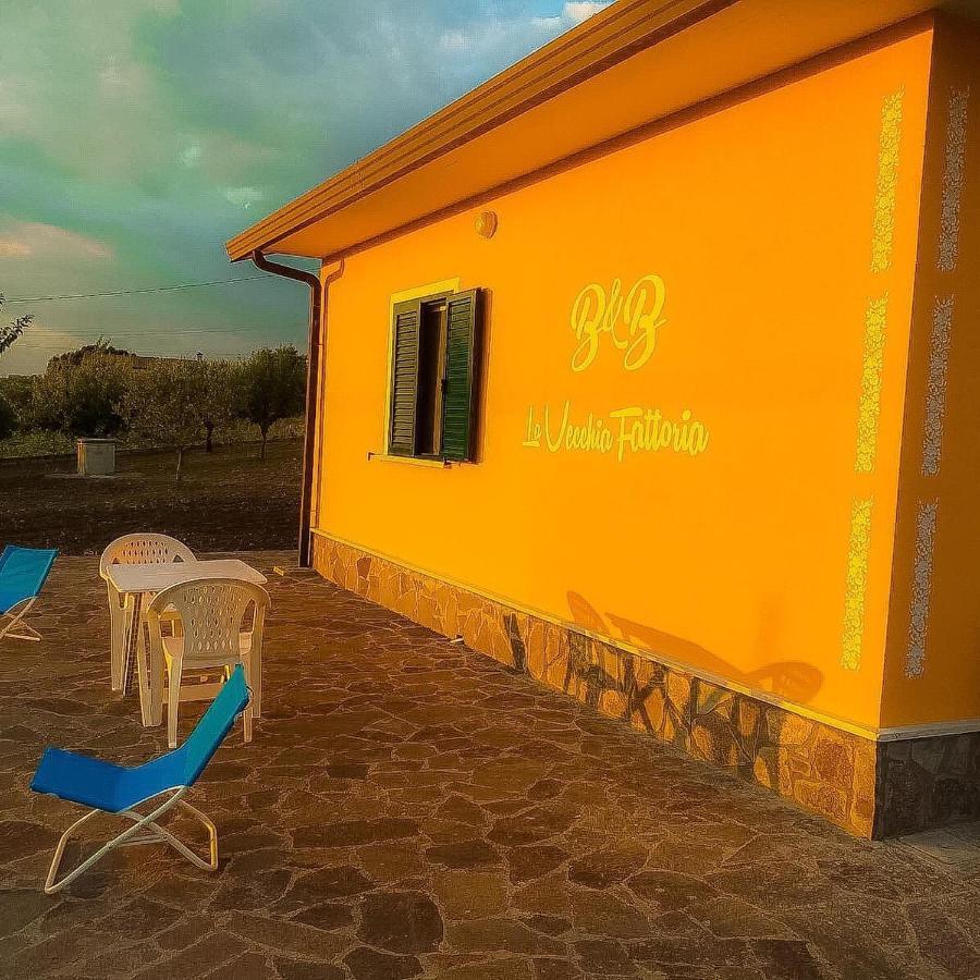 La Vecchia Fattoria Bed & Breakfast Pietrelcina Bagian luar foto